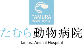 たむら動物病院